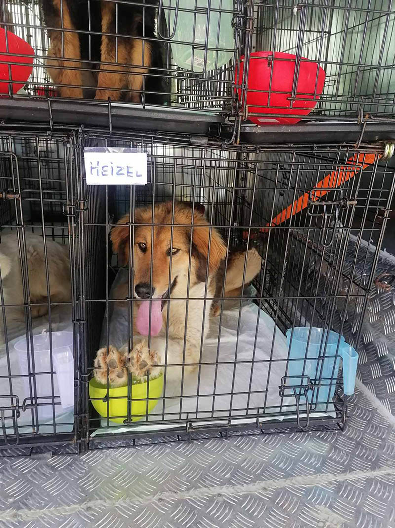 Кои сме ние